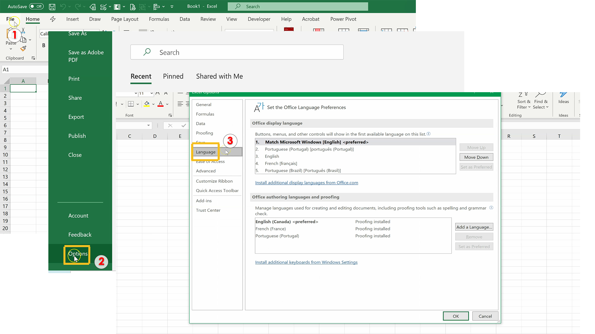 cách kiểm tra language trong excel