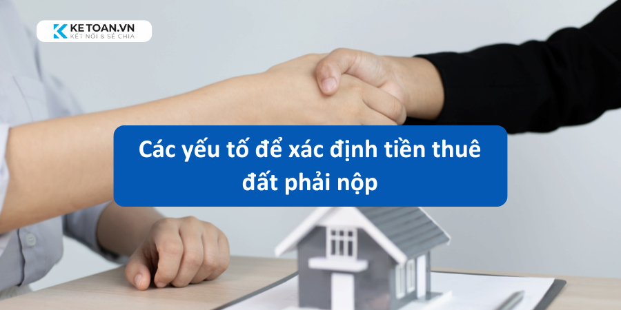 Nhà nước tính tiền thuê đất dựa trên các căn cứ nào?
