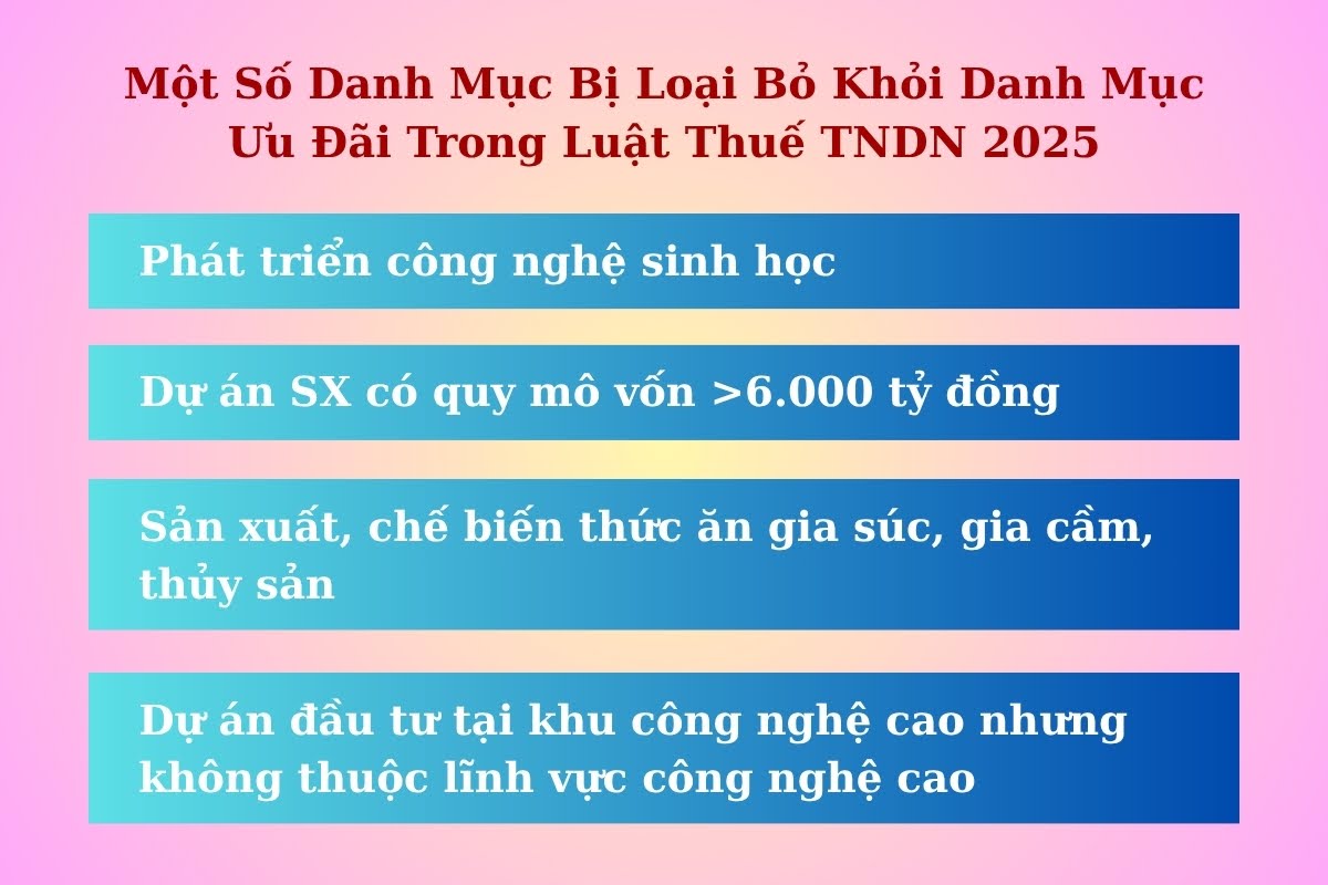 một số danh mục bị loại bỏ khỏi danh mục ưu đãi luật thuê TNDN 2025