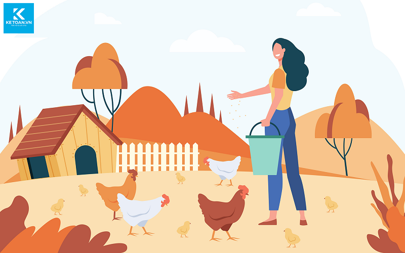 Thức ăn chăn nuôi có chịu thuế giá trị gia tăng không