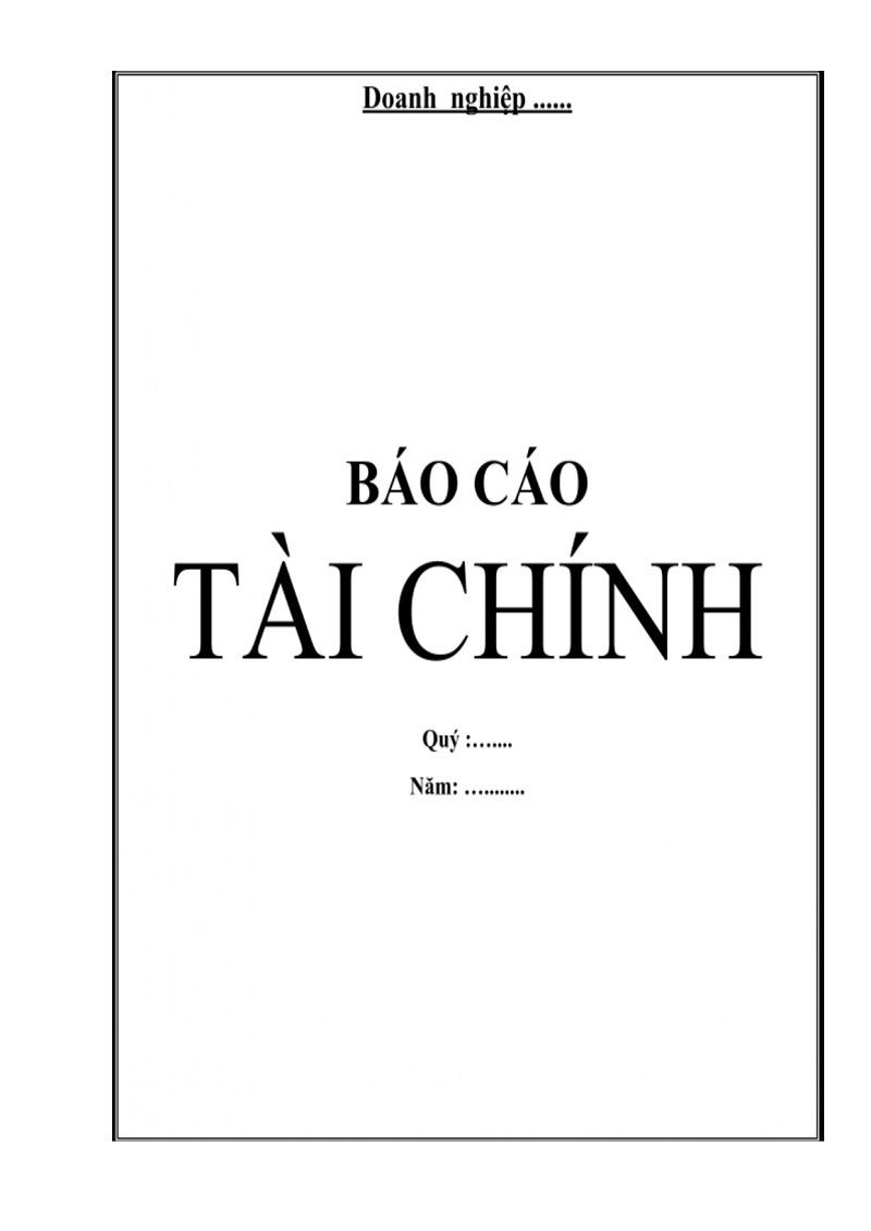 Bìa báo cáo tài chính 1