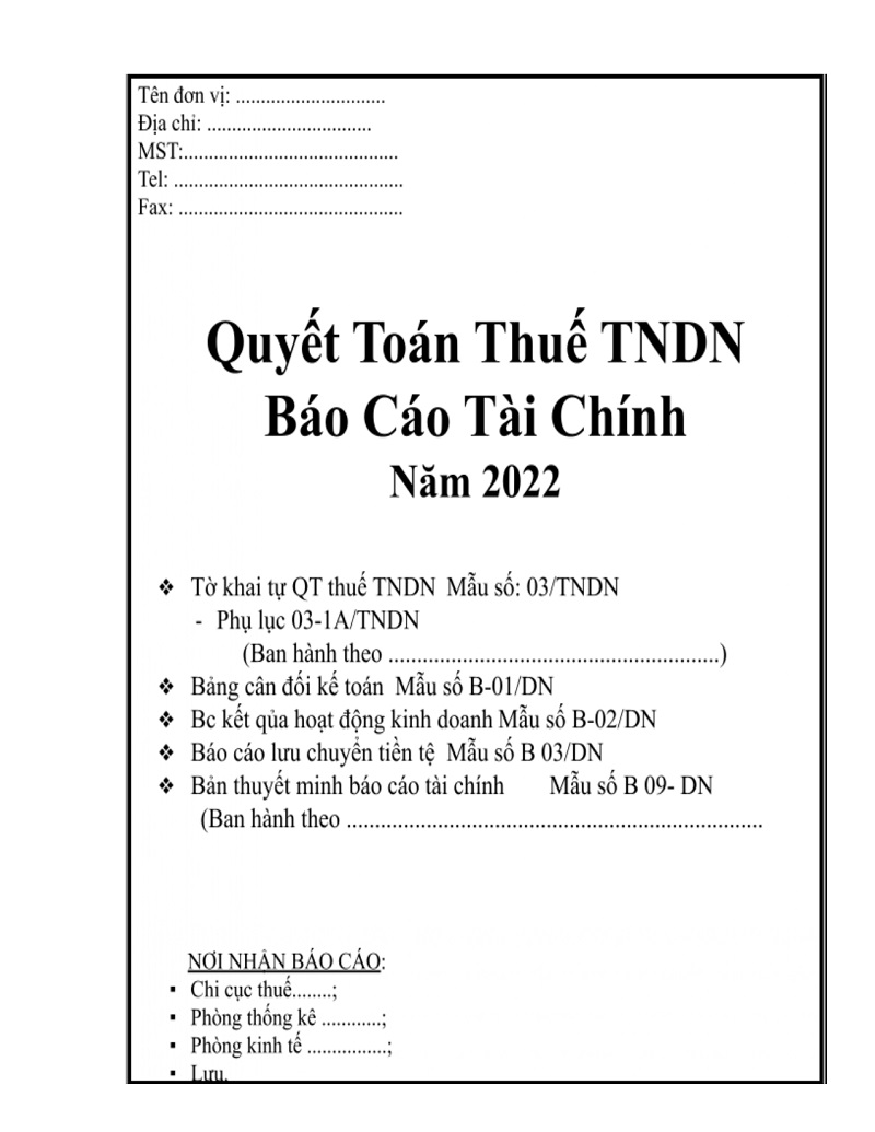Bìa báo cáo tài chính 