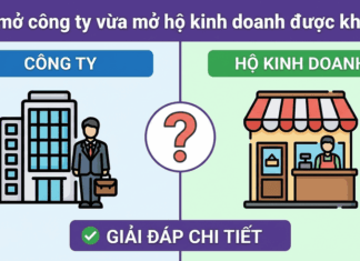 Vừa mở công ty vừa mở hộ kinh doanh được không? Giải đáp chi tiết chủ công ty có đăng ký thêm hộ kinh doanh được không