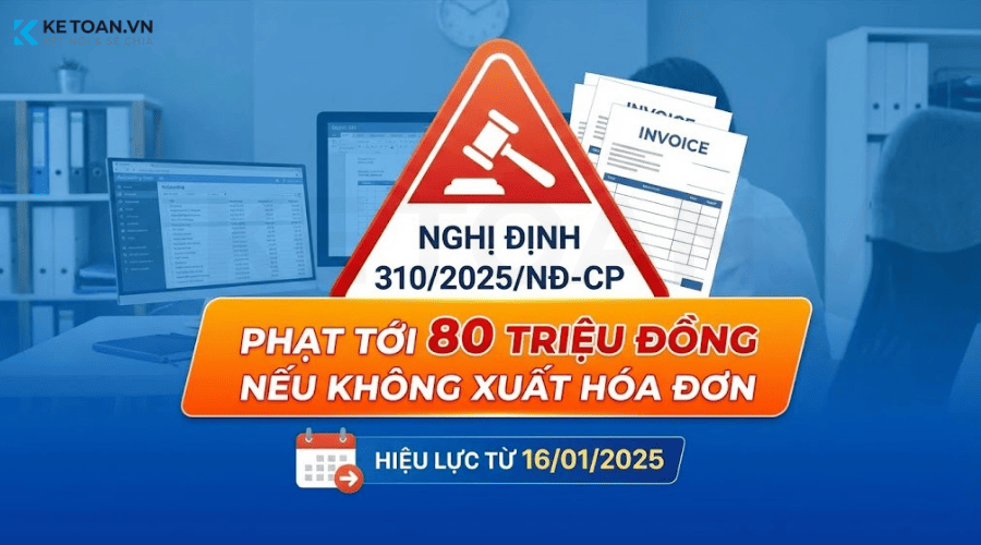 nghị định 310-2025-NĐ-CP có hiệu lực từ ngày 16-01-2025