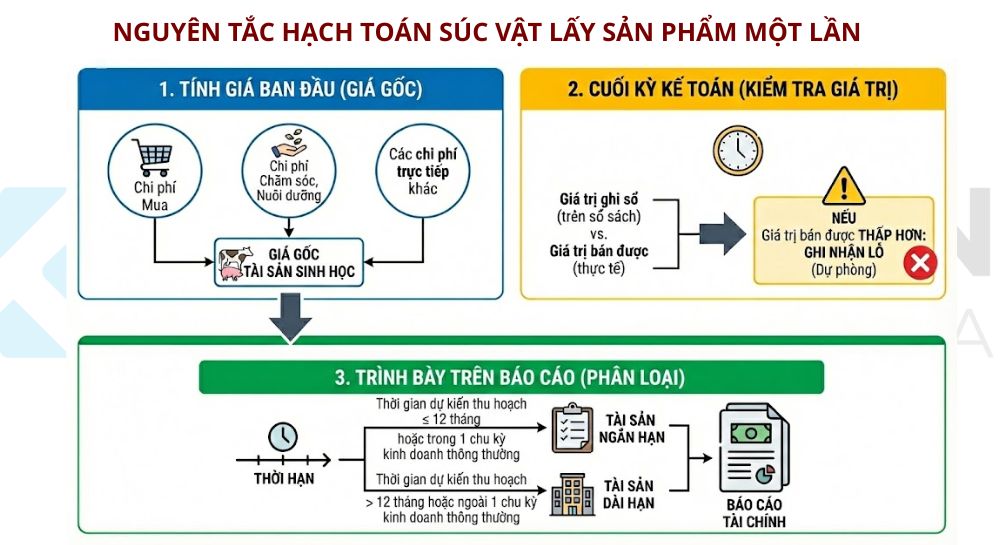 tài khoản 215 - tài khoản sinh học