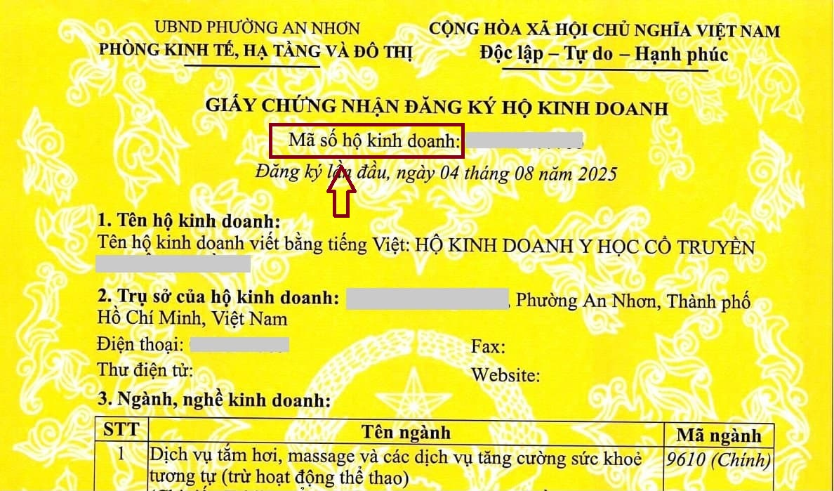 tra cứu mã số thuế hộ kinh doanh