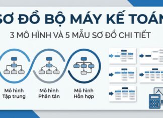 Sơ đồ bộ máy kế toán: 3 Mô hình và 5 Mẫu sơ đồ chi tiết mẫu sơ đồ bộ máy kế toán